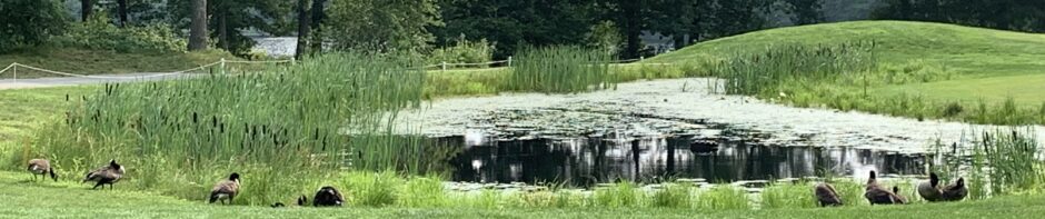 Ocean State Women's Golf Association